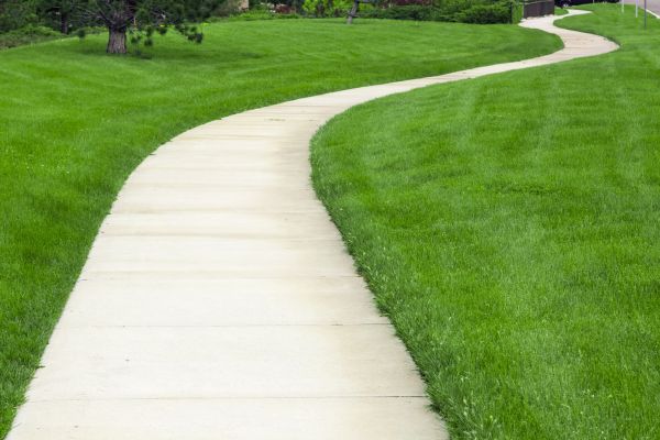 Cost of Pathway Replacement in Oakland